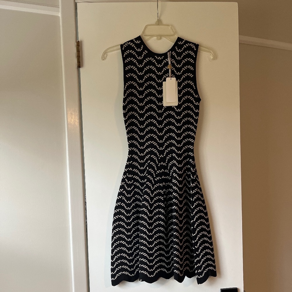Ted baker aline dress